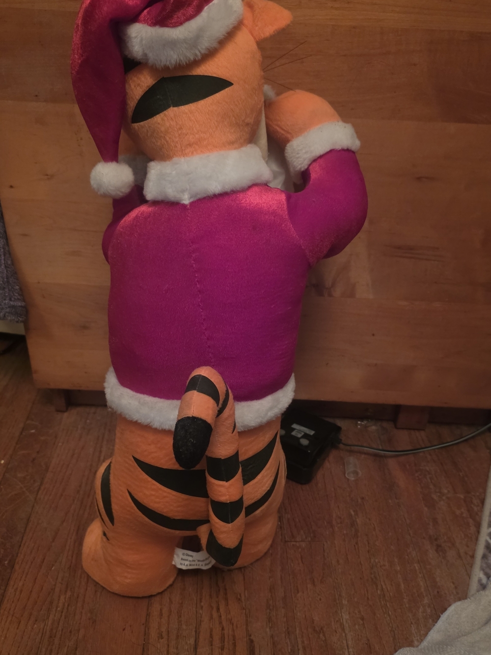 Tiggers - Picture 4 of 5